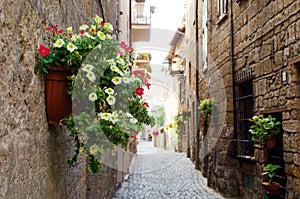 A medieval italian street in Orvieto with flowers