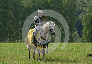 Medieval knight in armor on horseback