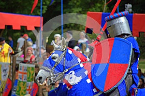 Medieval knight blazonry photo