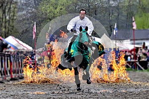 Medieval knight on horseback