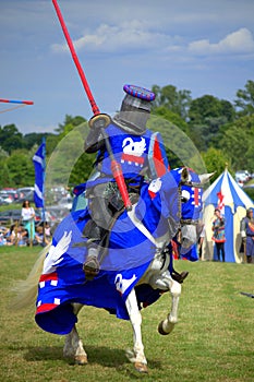 Medieval knight magnificence