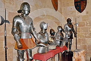 Medieval Knights