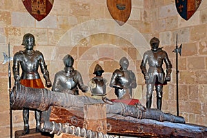 Medieval Knights