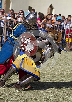 Medieval knights fight