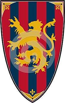 Medieval Knights Shield