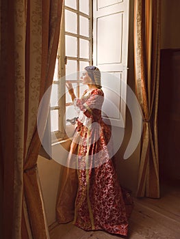 Medieval lady at castle window