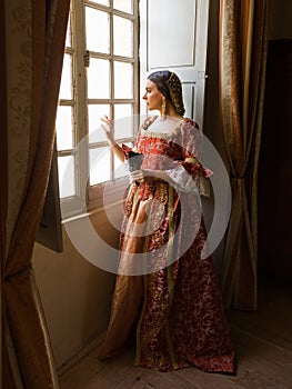 Medieval lady staring out of window