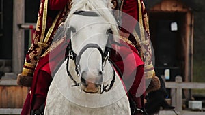 Medieval nobleman wearing luxury suit sitting astride white pedigree horse