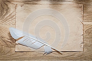 Medieval parchment quill on wooden board