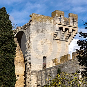 Medieval queen fortress in Tarascon, France.