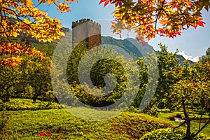 Medieval ruins in an enchanted garden, Giardini di Ninfa, Latina, Rome