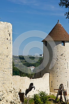 Medieval scene - Provins