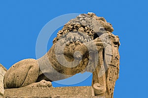 Medieval sculpture of lion, isolated on blue, Mdina, Malta