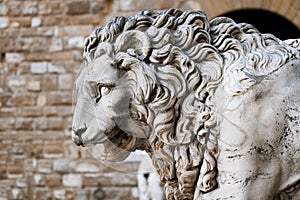 Medieval sculpture of a lion at Piazza della Signoria in Florence, Italy photo