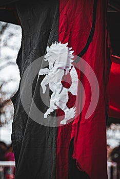 Medieval standard with a black and a white stripe and a white horse in between