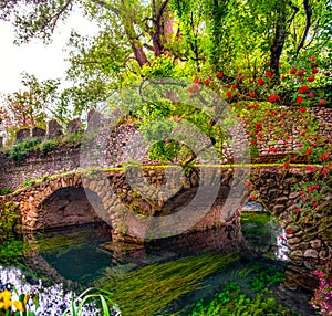 Medieval stone bridge in eden colourful garden vibrant with roses and river