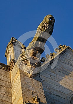 A medieval stone gargoyle with a lion shape shows its age on the church in Josselin, Brittany.