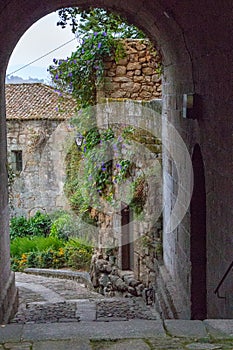 Medieval street arch in provence. Ancient european architecture. Charming brick castle gate with flowers and plants and lantern.