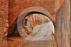 Medieval Street and Gate in medieval town