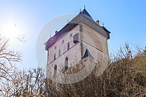Medieval tower against a clear sky surrounded by winter trees
