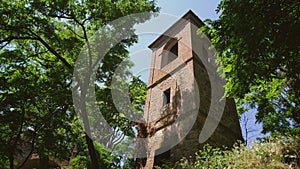 Medieval tower forest enchanted background