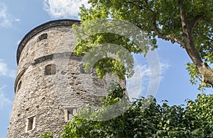 Medieval tower in Tallin