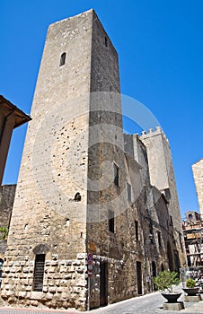 Medieval tower. Tarquinia. Lazio. Italy. photo