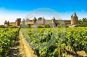 Medieval town of Carcassonne and vineyards, France