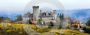 Medieval towns and castles of Italy -Vigoleno with vineyards in photo