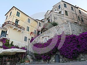 Medieval village of Cervo