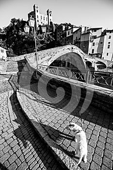 Medieval village of Dolceacqua, Black and white city and river landscape, old bridge, dog waiting in a leash