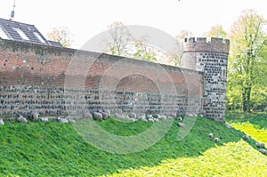Medieval wall with sharp