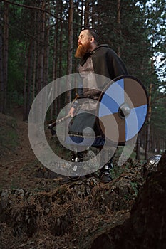 Medieval warrior viking barbarian with ax and shield in forest