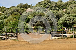 Medina Sidonia; Spain - august 28 2019 : Acampo Abierto photo