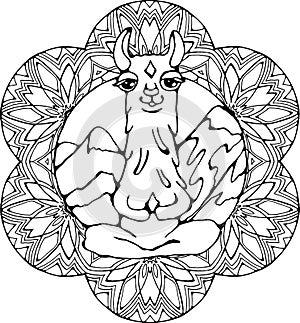 Meditating llama in the mountains. Love and gratitude. Mandala ornament.