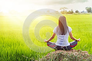 Meditating in the lotus posture on rice field background