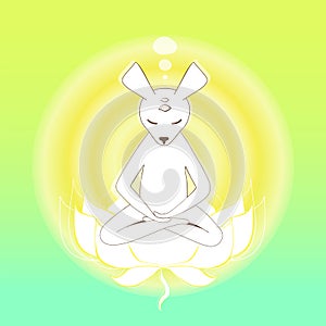 Meditating mouse in the lotus