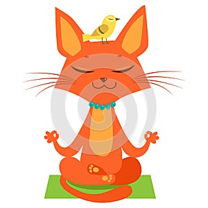 Meditating Yoga Cat Vector. Funny Cartoon Cat Practicing Yoga. Join In Yoga Session.