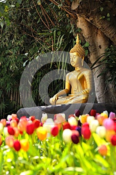Meditation Buddha statue in tulips