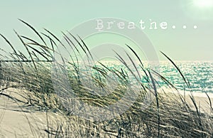 Meditation and Relaxation Message. Breathe. Be Still. Calm. Relax. Peace.. photo