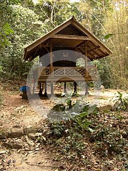 Meditation retreat amidst dense vegetation