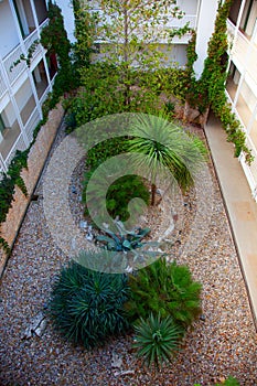 Atrium Courtyard gardner garden photo