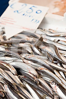 Mediterranean anchovies in a fish market