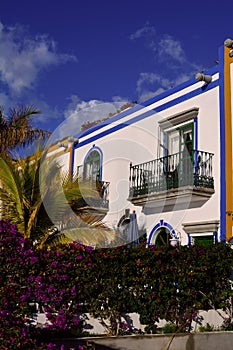 Mediterranean balcony in summer with flowers and palms near by