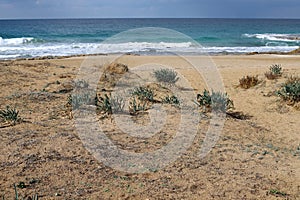 Mediterranean coast in the north of Israel