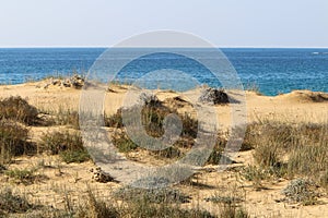 Mediterranean coast in the north of Israel