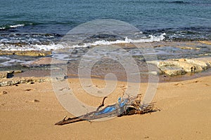 Mediterranean coast in the north of Israel