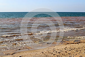 Mediterranean coast in the north of Israel