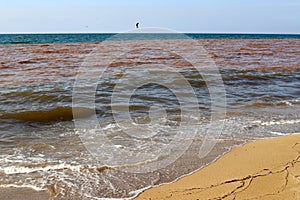 Mediterranean coast in the north of Israel