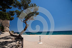 Mediterranean coast in summer